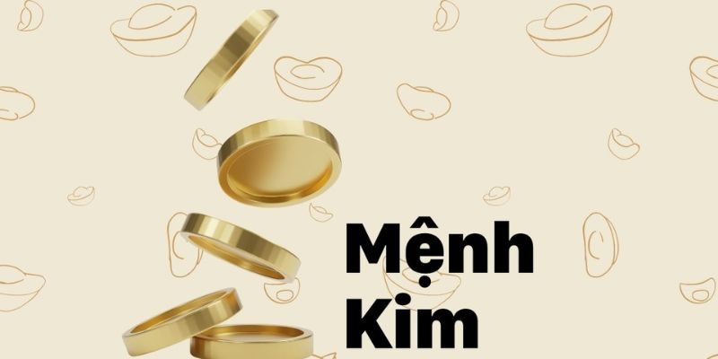 Tổng quan về mệnh